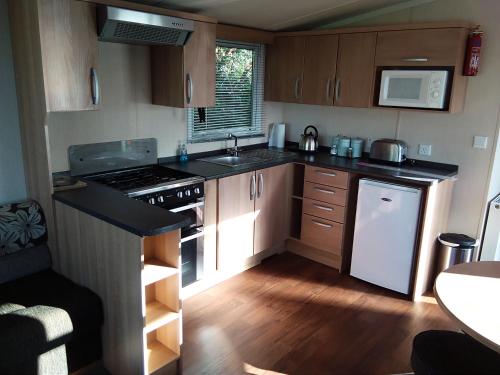 a small kitchen with a stove and a refrigerator at Hendre Coed Isaf static caravan Barmouth in Barmouth
