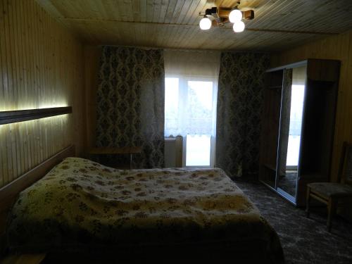 a bedroom with a bed and a window at У Павла in Yablunytsya