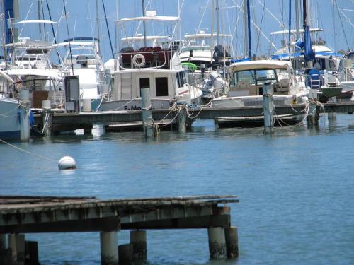 a group of boats docked at a marina at Waterfront studio at Fajardo, Puerto Rico in Fajardo