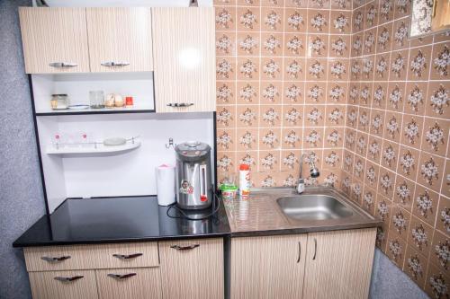 Una pequeña cocina con fregadero y encimera. en Apartment Registan, en Samarkand