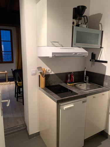 une cuisine blanche avec un évier et un micro-ondes dans l'établissement Porte Bourgogne, à Orléans