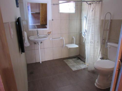uma casa de banho com um WC, um lavatório e um chuveiro em Cabaña Accesible Ipua em Lago Puelo