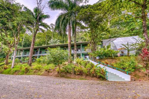 a house with palm trees in front of it at Hotel Casa Conley Del Mar in Puerto Viejo