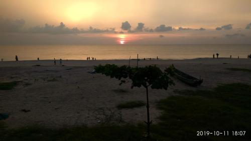 a sunset on a beach with a tree in the foreground at Alleppey Holiday Beach Resort in Alleppey