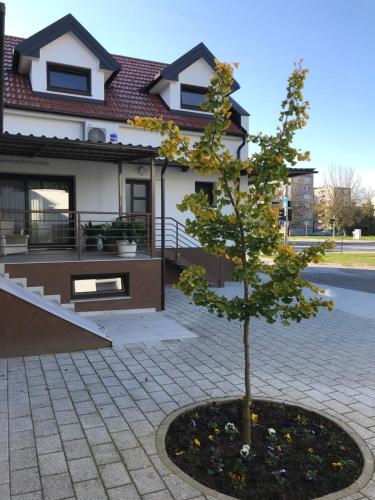 a small tree in front of a house at EVA Rooms & Studio Apartment in Karlovac