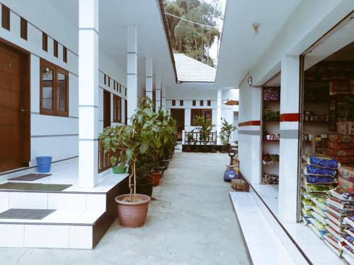 a hallway of a building with potted plants at Savana Guesthouse in Bromo