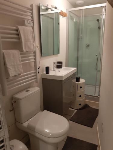 une salle de bain avec toilettes, lavabo et douche dans l'établissement Souplex de la rue froide, à Caen
