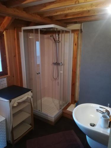 une salle de bain avec une douche, un lavabo et des toilettes dans l'établissement chez Mancha fave, à Saint-Chaffrey