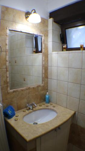a bathroom with a sink and a mirror at AELIA HOME in Synikia Mesi Trikalon