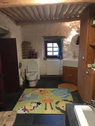 a bathroom with a toilet and a rug on the floor at Chalupa U Vincků in Stachy
