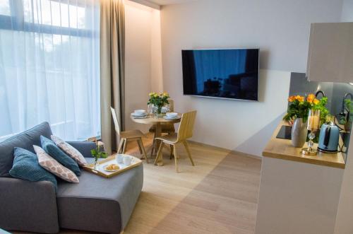 a living room with a couch and a table at Verde Apartments CENTRUM klimatyzacja in Koszalin