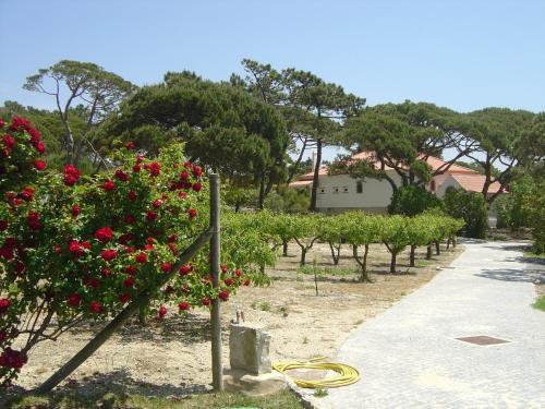 Gallery image of Solar Do Magoito in Sintra