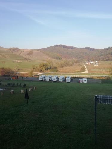 a large green field with tents in the distance at Dara's Camping in Prod