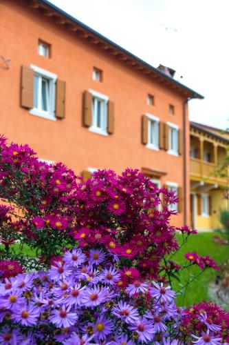 a bunch of purple flowers in front of a building at Casa Lenka in Málchina