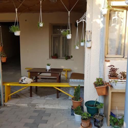 un cane che dorme su una panchina in un patio di Домик у Куры a Tbilisi City