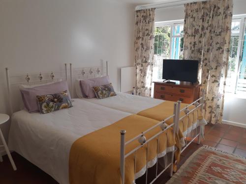 a bedroom with a large bed and a television at Yellowwood Lodge in Knysna
