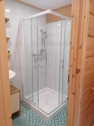 a shower with a glass enclosure in a bathroom at Apartment Jeršin in Rateče