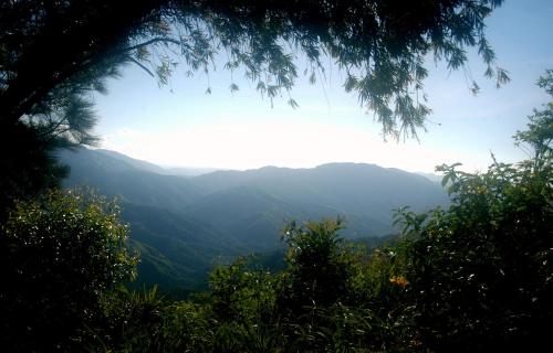 Naturlandschaft in der Nähe des Bauernhofs