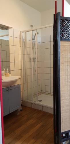 W łazience znajduje się prysznic i umywalka. w obiekcie Le Couvent en Bazois w mieście Châtillon-en-Bazois