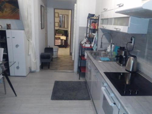 Grey Orchid Apartment - studio 1066 Budapest, Teréz körút 6 kép - 3