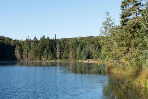 a view of a lake with trees in the background at Chalet Mont Tremblant Luxury Lodge in Labelle