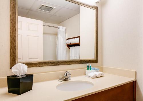 Holiday Inn Express Hotel & Suites Coralville, an IHG Hotel في كورالفيل: حمام مع حوض ومرآة كبيرة