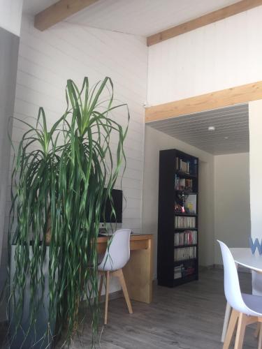 a plant in a room with a table and chairs at Les Tignoliers in Tignieu-Jameyzieu