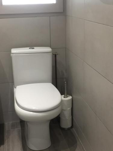 a white toilet in a bathroom with a window at Les Tignoliers in Tignieu-Jameyzieu
