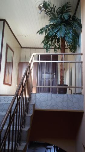 a staircase with a palm tree in a building at Zajazd Malibu in Szypliszki