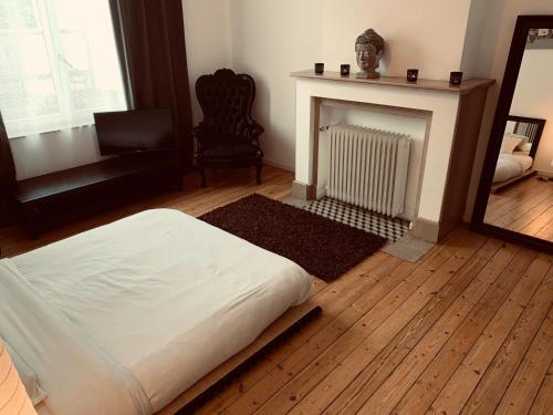a living room with a bed and a fireplace at Chic Cocoon Guest House in Brussels