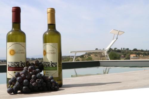 two bottles of wine next to a bunch of grapes at Agriturismo Casale Contessa in Montebuono