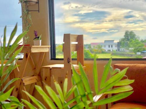 Tropical Breeze Apartments – Photos 2