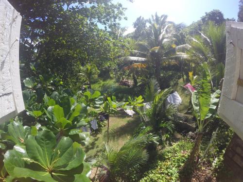 a garden with palm trees and plants at Port Antonio Brian's Beach House in Port Antonio