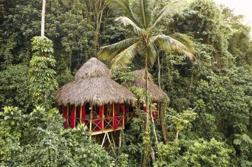 Dominican Tree House Village