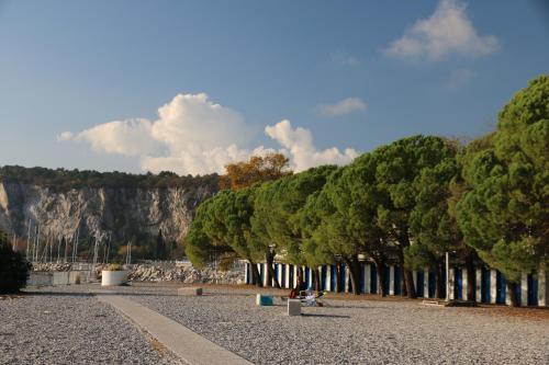 a row of trees in front of a mountain at Casa Lenka in Málchina