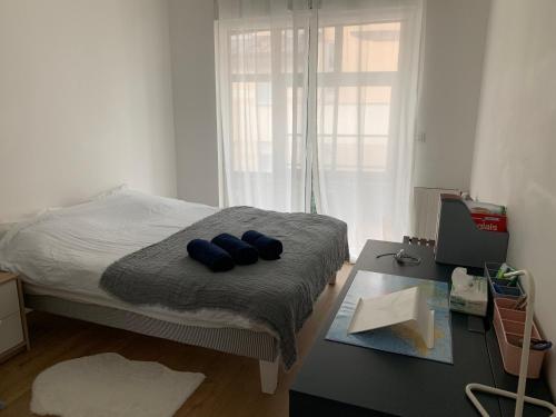 ein Schlafzimmer mit einem Bett mit zwei blauen Kissen darauf in der Unterkunft APPARTEMENT CENTRE VILLE AVEC TERRASSE ET PARKING SECURISE in Rennes