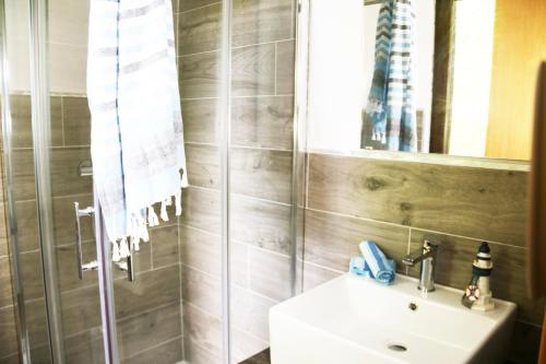 a bathroom with a sink and a shower with a mirror at Casa Vacanze Il Giardino - Appartamento Nocciolo in Aritzo