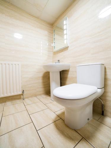 a bathroom with a toilet and a sink at The Whistle and Flute in Barnetby le Wold