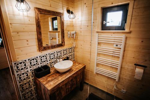 a bathroom with a sink and a mirror at Daroszówka - Noclegi z Widokiem Solina in Solina