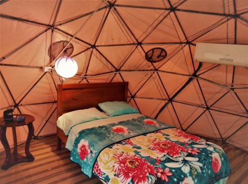 ein Schlafzimmer mit einem Bett in einem dreieckigen Zimmer in der Unterkunft Nativa Whale Domes in Puerto López