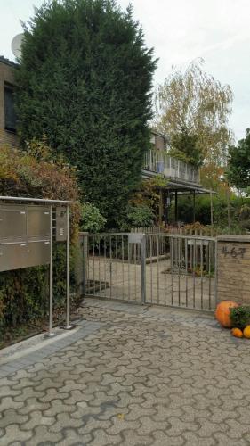 a gate with pumpkins in front of a house at Erftmündung in Neuss