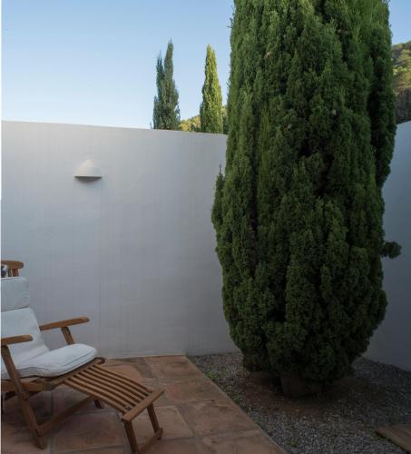 a bench and a chair next to a bush at Can Poeta in Sant Carles de Peralta