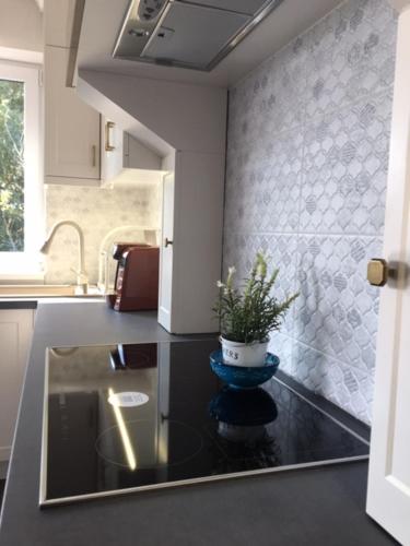 kuchnia z doniczką na ladzie w obiekcie Thermal Forest Apartment w mieście Kiskunhalas