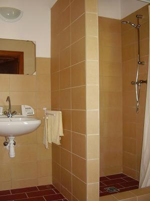 a bathroom with a sink and a shower at Martonvendeghaz 1 in Erdeimajor