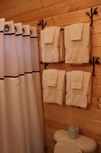 a bathroom with a shower curtain and towels at Lone Fir Resort in Cougar