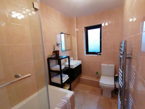 プリマスにあるWaterside flatのバスルーム(トイレ、洗面台、シャワー付)