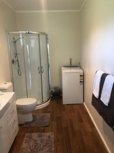 a bathroom with a shower and a toilet and a sink at Watson's Cottage in Masterton