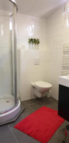 a bathroom with a toilet and a shower with a red rug at Compleet huisje in een groene oase in het centrum van Zuidlaren! in Zuidlaren