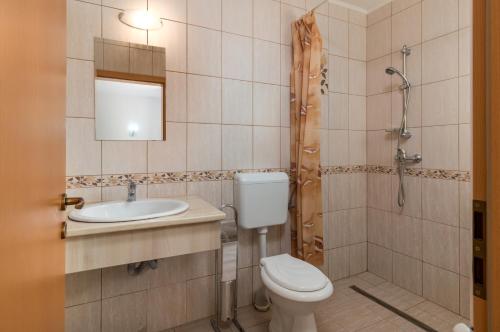 La salle de bains est pourvue de toilettes, d'un lavabo et d'une douche. dans l'établissement Vila Izvor, à Băile Felix