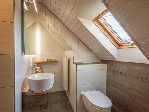 オーバーハルマースバッハにあるKornbauernhofのバスルーム(トイレ、シンク、天窓付)